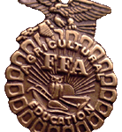 FFA Gold2 png 180px