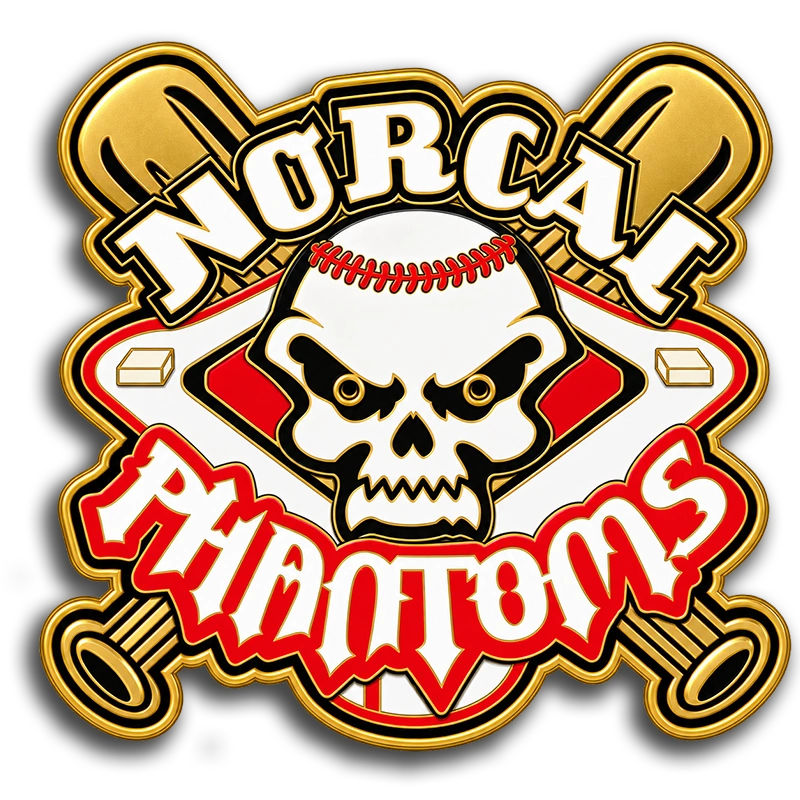 Norcal Phantoms rotational blinky trading pin